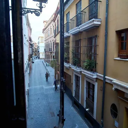 Ohliving Cathedral Sevilla