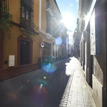 Ohliving Cathedral Sewilla